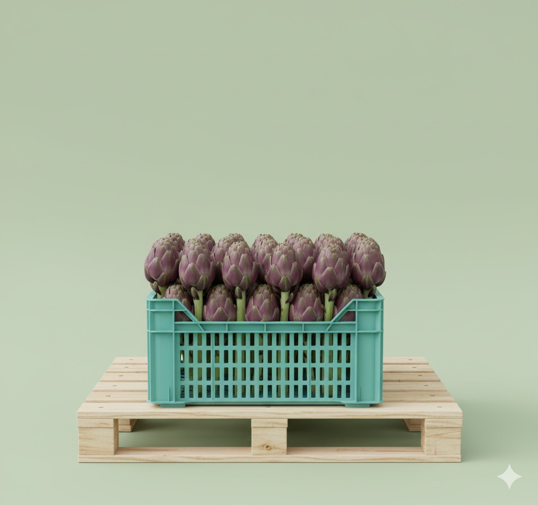 Fresh Artichokes